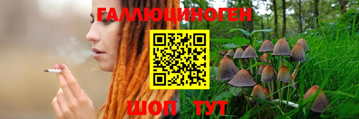 Псилоцибиновые грибы Cubensis Пыть-Ях
